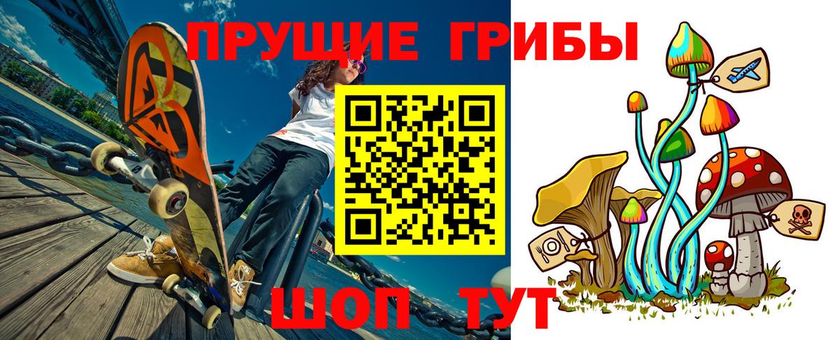Кировск  цены наркотик  Вход с VPN  Псилоцибиновые грибы прущие грибы 